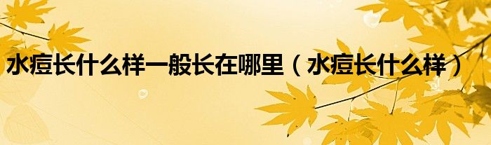水痘長(zhǎng)什么樣一般長(zhǎng)在哪里（水痘長(zhǎng)什么樣）