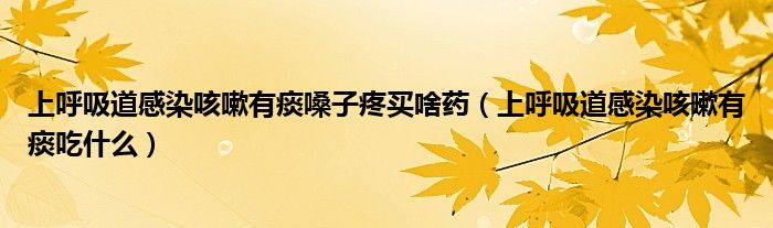 上呼吸道感染咳嗽有痰嗓子疼買啥藥（上呼吸道感染咳嗽有痰吃什么）