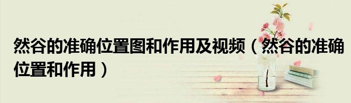 然谷的準確位置圖和作用及視頻（然谷的準確位置和作用）