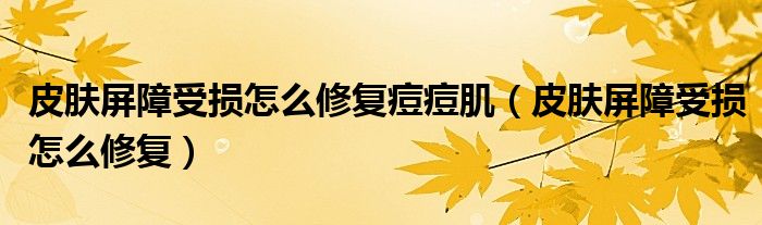 皮膚屏障受損怎么修復(fù)痘痘?。ㄆつw屏障受損怎么修復(fù)）