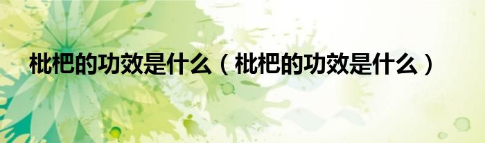 枇杷的功效是什么（枇杷的功效是什么）