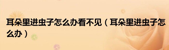 耳朵里進蟲子怎么辦看不見（耳朵里進蟲子怎么辦）