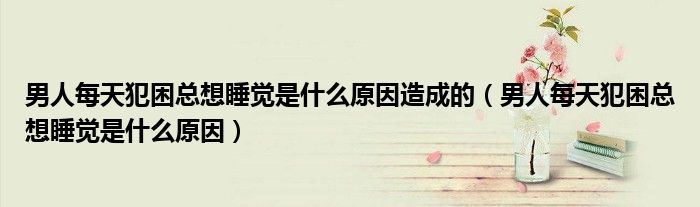 男人每天犯困總想睡覺(jué)是什么原因造成的（男人每天犯困總想睡覺(jué)是什么原因）