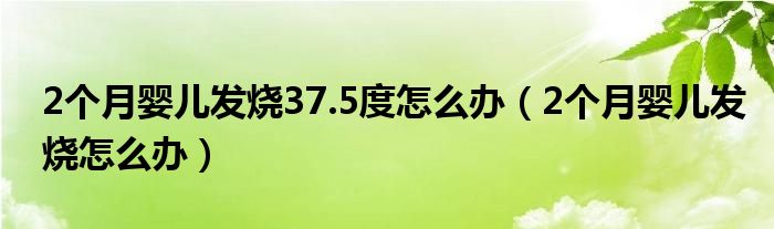 2個月嬰兒發(fā)燒37.5度怎么辦（2個月嬰兒發(fā)燒怎么辦）