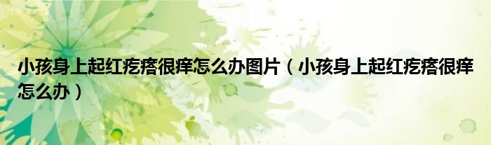 小孩身上起紅疙瘩很癢怎么辦圖片（小孩身上起紅疙瘩很癢怎么辦）