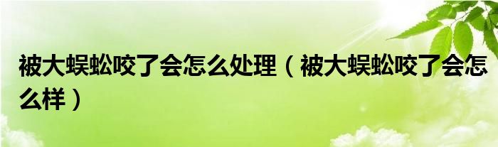 被大蜈蚣咬了會怎么處理（被大蜈蚣咬了會怎么樣）