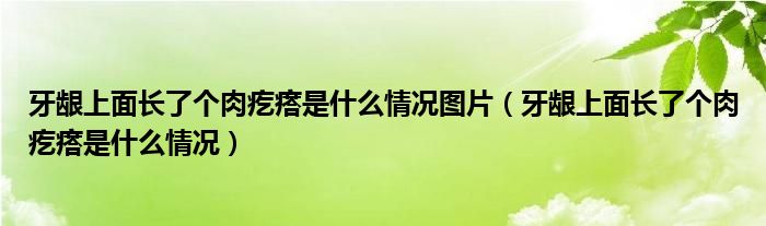 牙齦上面長了個(gè)肉疙瘩是什么情況圖片（牙齦上面長了個(gè)肉疙瘩是什么情況）
