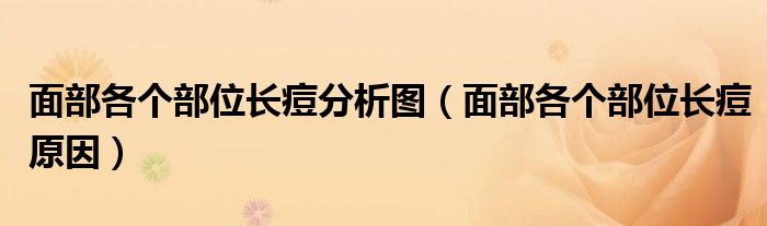 面部各個(gè)部位長痘分析圖（面部各個(gè)部位長痘原因）