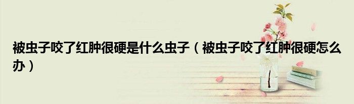 被蟲子咬了紅腫很硬是什么蟲子（被蟲子咬了紅腫很硬怎么辦）