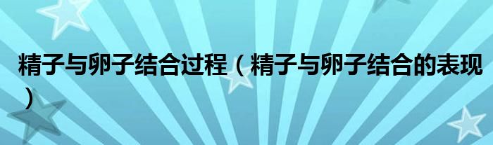 精子與卵子結(jié)合過程（精子與卵子結(jié)合的表現(xiàn)）