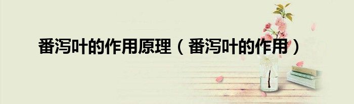 番瀉葉的作用原理（番瀉葉的作用）