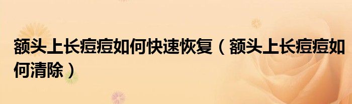額頭上長痘痘如何快速恢復(fù)（額頭上長痘痘如何清除）