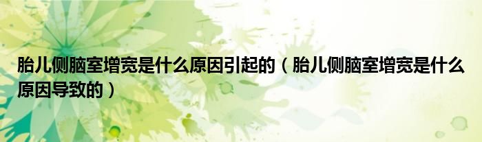 胎兒側(cè)腦室增寬是什么原因引起的（胎兒側(cè)腦室增寬是什么原因?qū)е碌模?class='thumb lazy' /></a>
		    <header>
		<h2><a  href=