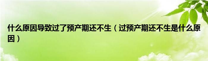 什么原因?qū)е逻^了預(yù)產(chǎn)期還不生（過預(yù)產(chǎn)期還不生是什么原因）