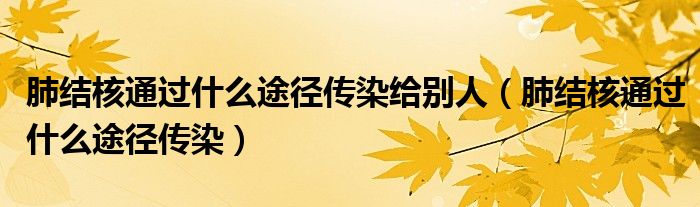 肺結(jié)核通過(guò)什么途徑傳染給別人（肺結(jié)核通過(guò)什么途徑傳染）