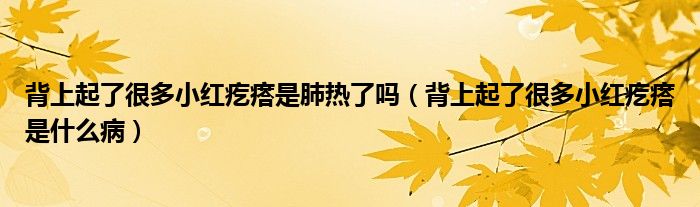 背上起了很多小紅疙瘩是肺熱了嗎（背上起了很多小紅疙瘩是什么?。?class='thumb lazy' /></a>
		    <header>
		<h2><a  href=