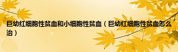巨幼紅細(xì)胞性貧血和小細(xì)胞性貧血（巨幼紅細(xì)胞性貧血怎么治）