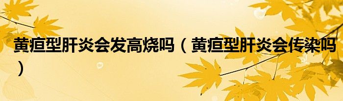 黃疸型肝炎會發(fā)高燒嗎（黃疸型肝炎會傳染嗎）