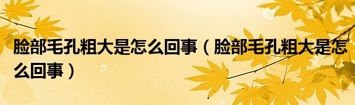 臉部毛孔粗大是怎么回事（臉部毛孔粗大是怎么回事）