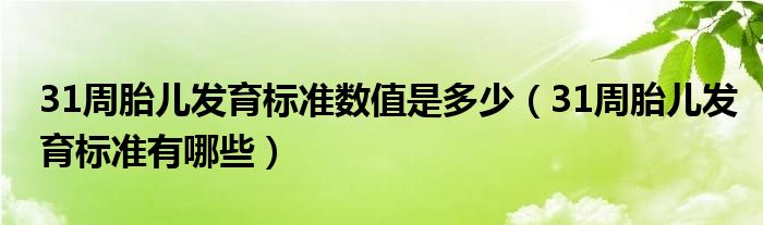 31周胎兒發(fā)育標(biāo)準(zhǔn)數(shù)值是多少（31周胎兒發(fā)育標(biāo)準(zhǔn)有哪些）