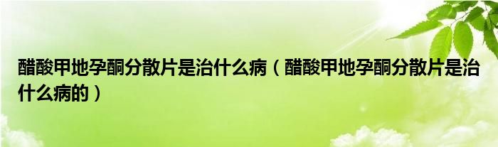 醋酸甲地孕酮分散片是治什么?。ù姿峒椎卦型稚⑵侵问裁床〉模?class='thumb lazy' /></a>
		    <header>
		<h2><a  href=
