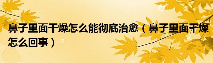 鼻子里面干燥怎么能徹底治愈(鼻子里面干燥怎么回事)