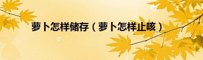 蘿卜怎樣儲存（蘿卜怎樣止咳）