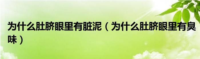 為什么肚臍眼里有臟泥（為什么肚臍眼里有臭味）