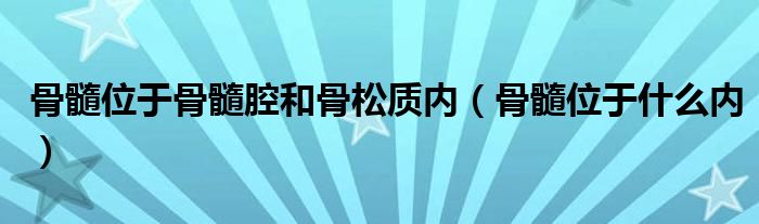 骨髓位于骨髓腔和骨松質(zhì)內(nèi)（骨髓位于什么內(nèi)）