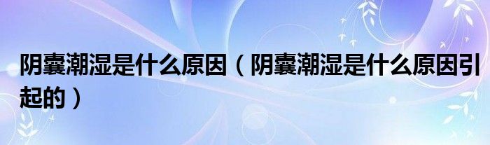 陰囊潮濕是什么原因（陰囊潮濕是什么原因引起的）