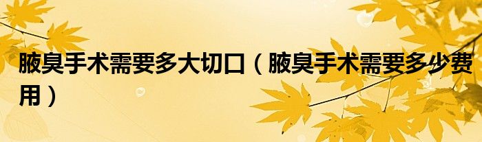 腋臭手術(shù)需要多大切口（腋臭手術(shù)需要多少費用）