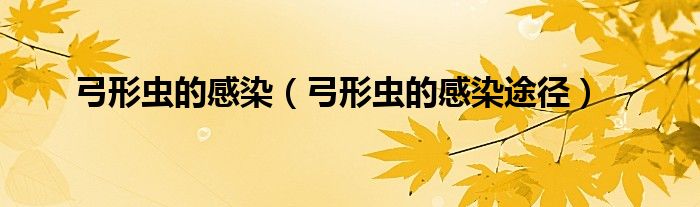 弓形蟲的感染（弓形蟲的感染途徑）