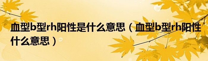血型b型rh陽性是什么意思（血型b型rh陽性什么意思）