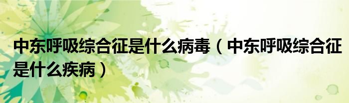 中東呼吸綜合征是什么病毒（中東呼吸綜合征是什么疾?。?class='thumb lazy' /></a>
		    <header>
		<h2><a  href=