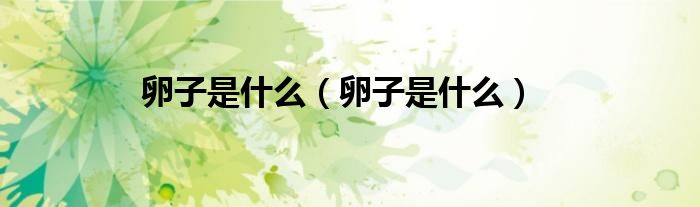 卵子是什么（卵子是什么）
