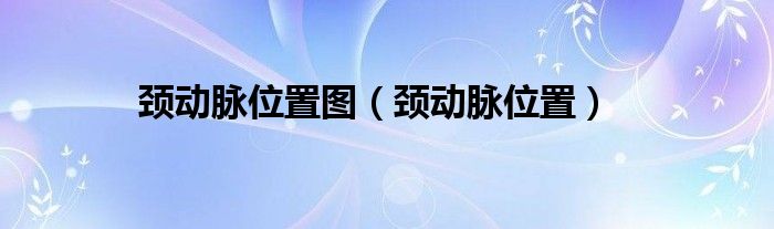 頸動(dòng)脈位置圖（頸動(dòng)脈位置）