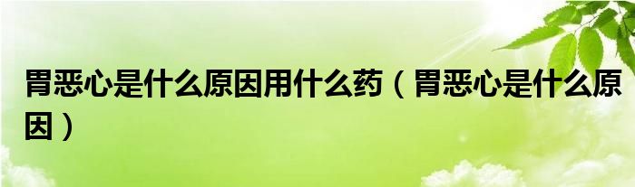 胃惡心是什么原因用什么藥（胃惡心是什么原因）