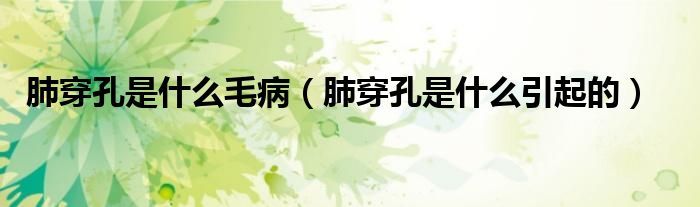 肺穿孔是什么毛?。ǚ未┛资鞘裁匆鸬模?class='thumb lazy' /></a>
		    <header>
		<h2><a  href=