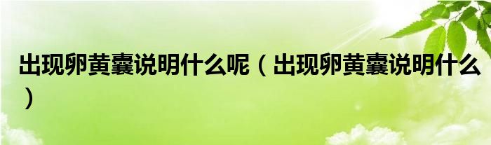 出現(xiàn)卵黃囊說明什么呢(出現(xiàn)卵黃囊說明什么)