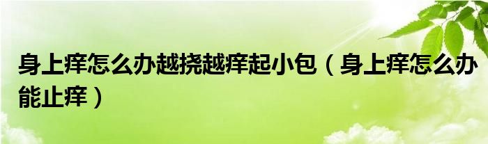 身上癢怎么辦越撓越癢起小包（身上癢怎么辦能止癢）