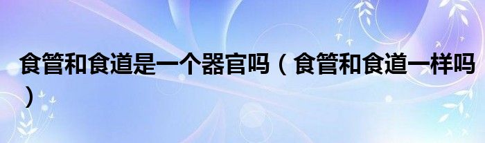 食管和食道是一個(gè)器官嗎（食管和食道一樣嗎）