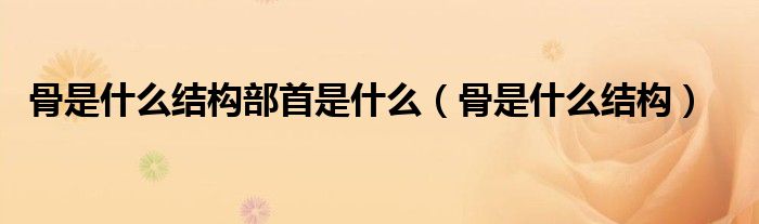 骨是什么結構部首是什么（骨是什么結構）