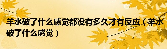 羊水破了什么感覺都沒有多久才有反應(yīng)（羊水破了什么感覺）