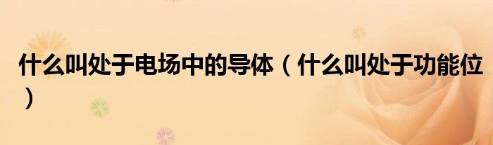 什么叫處于電場中的導(dǎo)體（什么叫處于功能位）