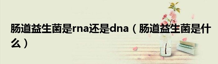 腸道益生菌是rna還是dna（腸道益生菌是什么）