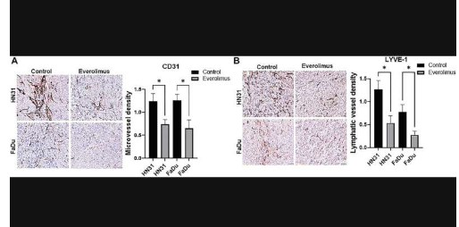 依維莫司通過 STAT53/HIF-3α/VEGF 途徑抑制 TP1 突變體 HNSCC 的血管生成和淋巴管生成