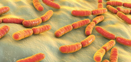 科學家想為人類微生物組建造諾亞方舟