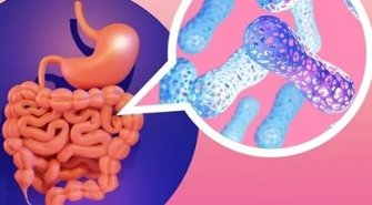 減少2型糖尿病患者微生物群中的丁酸鹽產(chǎn)量