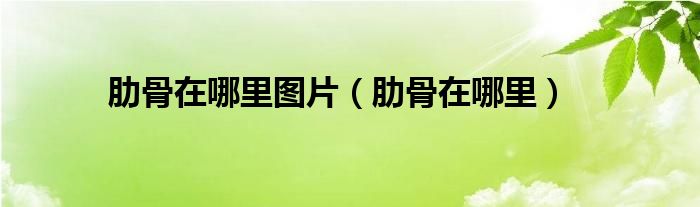 肋骨在哪里圖片（肋骨在哪里）