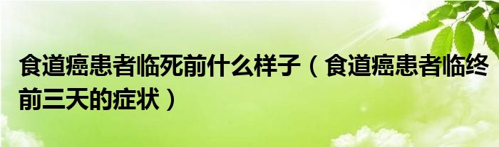 食道癌患者臨死前什么樣子（食道癌患者臨終前三天的癥狀）